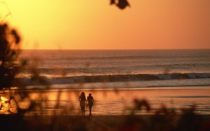 beach-sunset-wallpaper-summer-nature-newest-55944