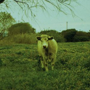 unnamed-1