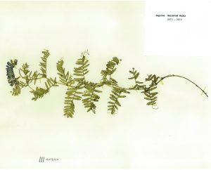 a0134109227_10