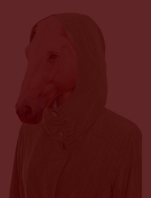 0009250279_10