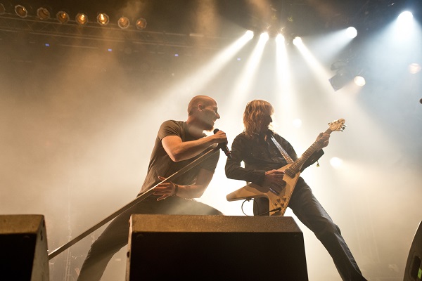 bloodstock