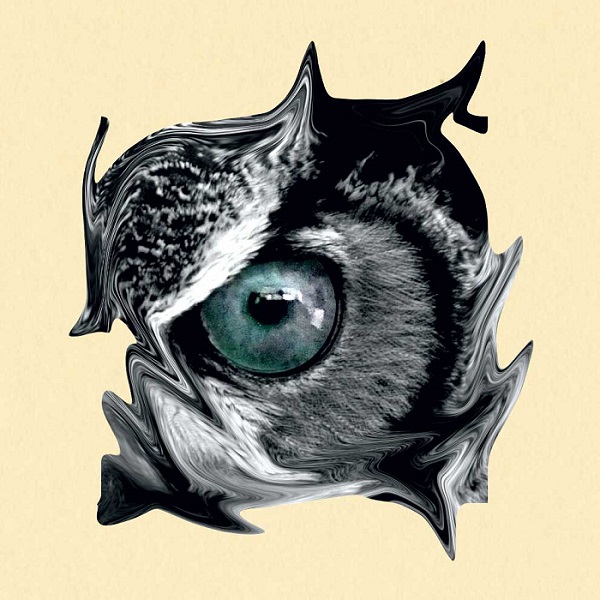 front-cover-q