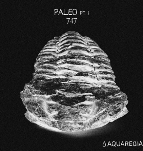 paleo-pt-1-album-art-final-final-web-100