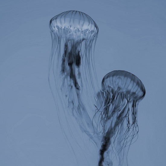 a3599421306_10