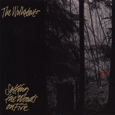 setting-the-woods-on-fire