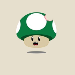 mushroom-3286577_960_720