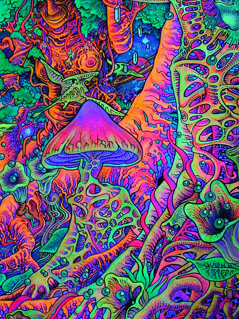c1ffdeecc22597af8e15e44846cc89f3