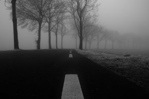 avenue-bend-black-and-white-4241
