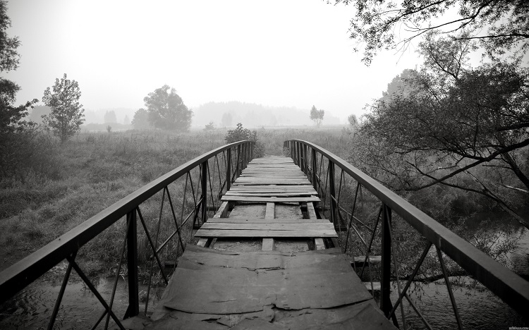 ws_black__white_bridge_scenery_2560x1600