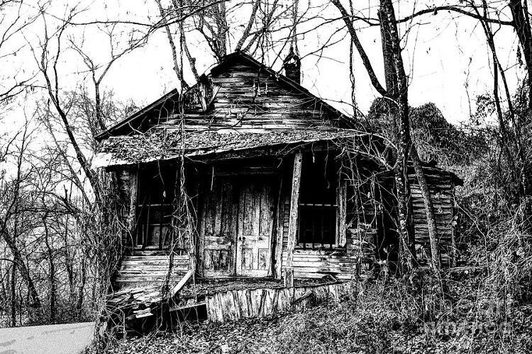 the-old-country-store-paul-mashburn