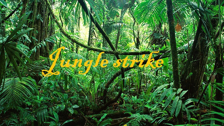 jungle_congo_800