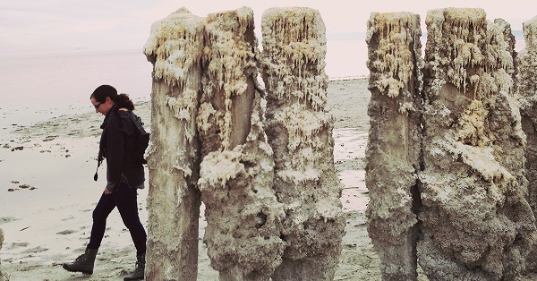 krikl-saltonsea-cathyhur