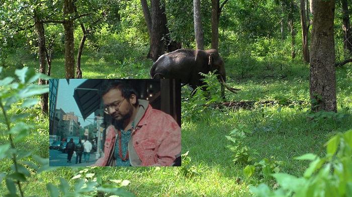 man-elephant-cover-copy