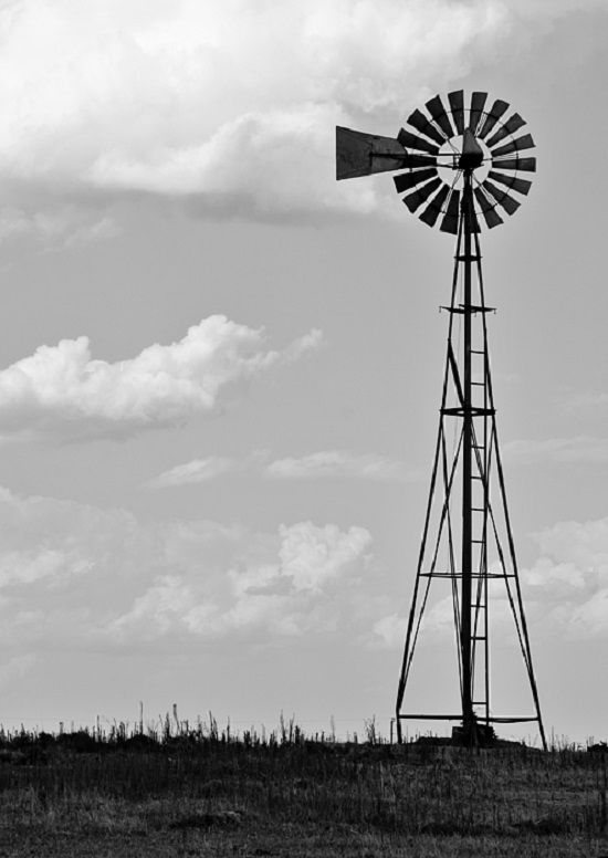 old-windmill-ii-ricky-barnard