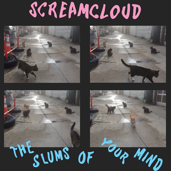 slumsofyourmindcover